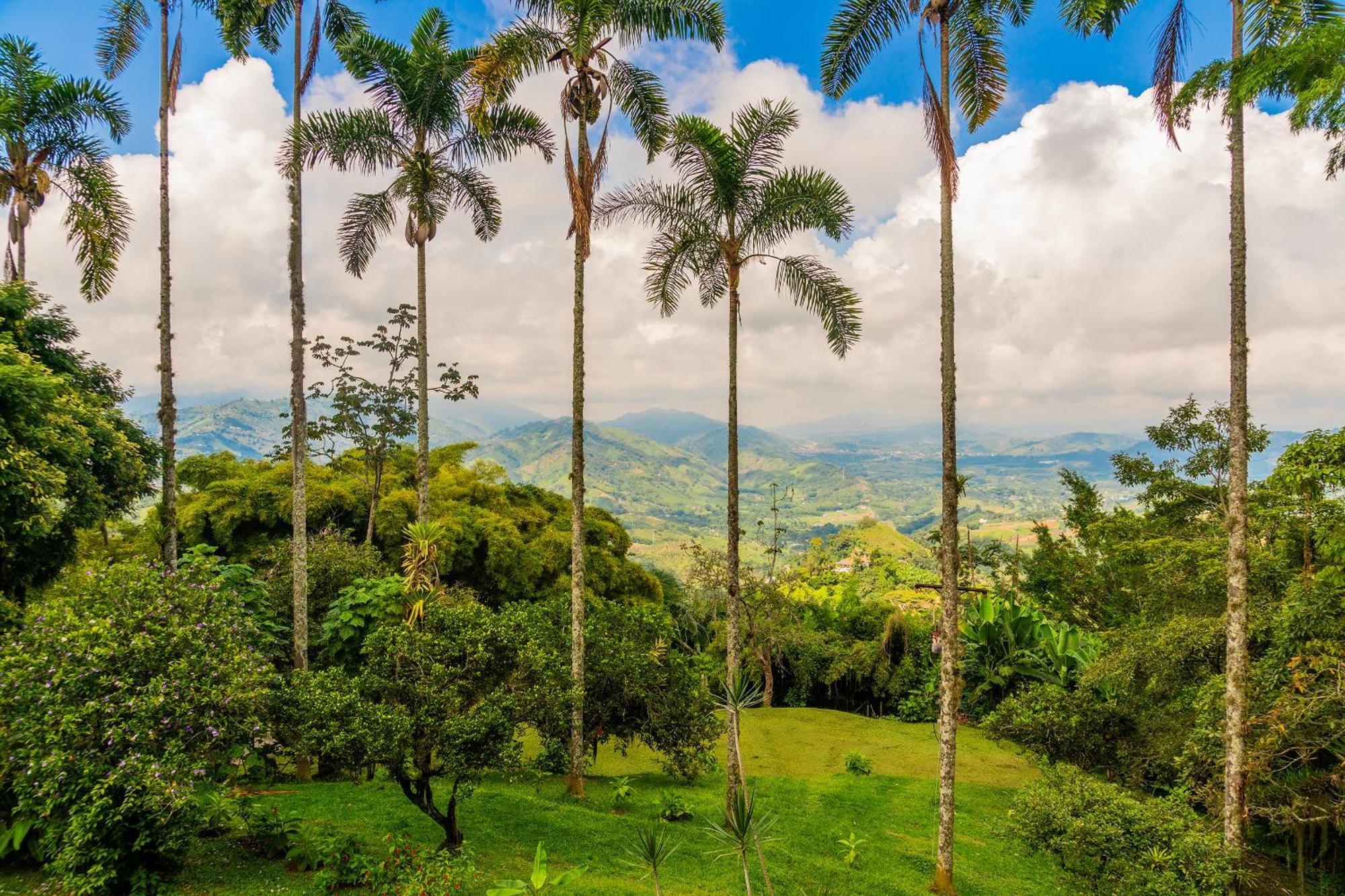 Aldea Sabatinga Villa Manizales Dış mekan fotoğraf